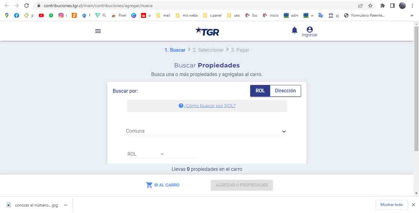tgr buscar rol recortado